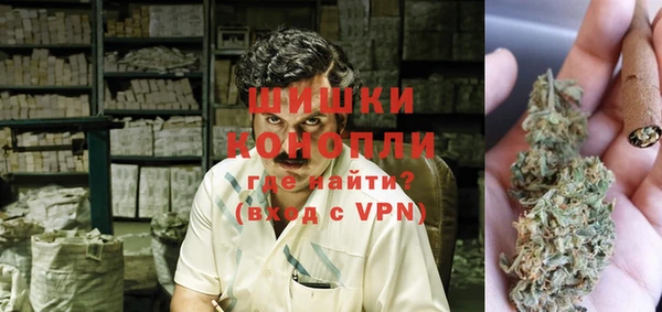молекула духа Алексин