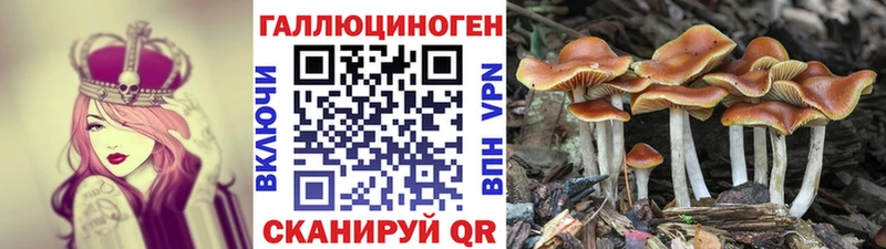 Галлюциногенные грибы Psilocybine cubensis  что такое наркотик  Дивногорск 
